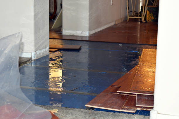 Professional Basement Flood Cleanup technician working in Dunbridge, OH
